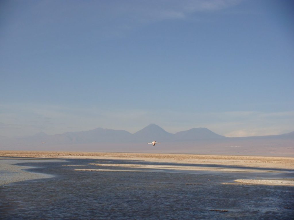 Deserto do Atacama