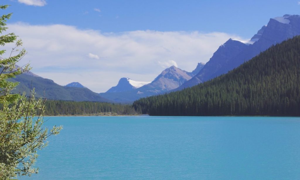 Icefields Parkway 