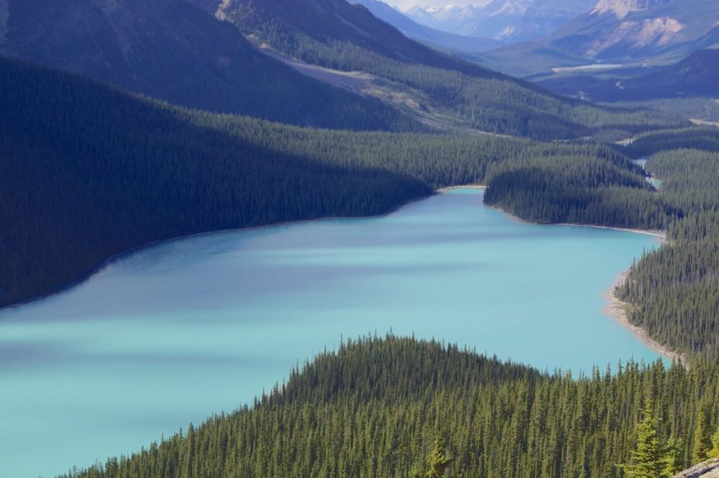 Icefields Parkway 