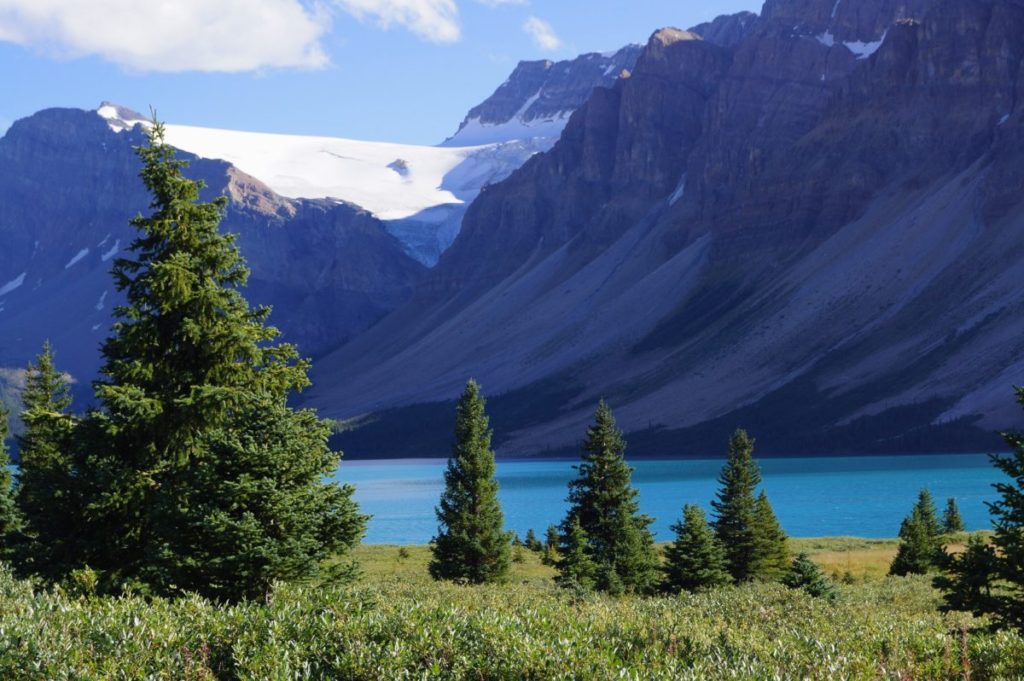 Icefields Parkway 