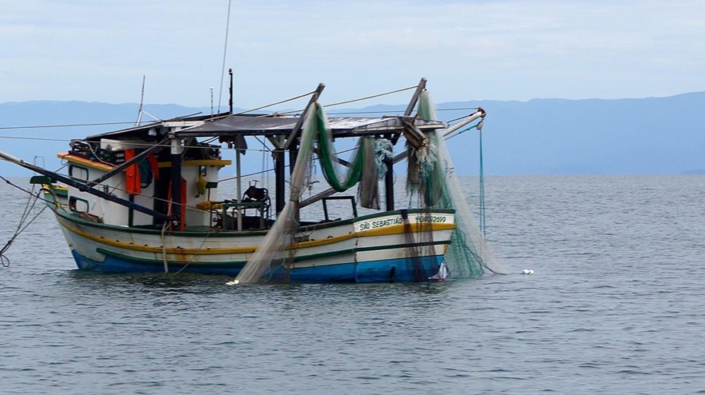 Ilha Montão de Trigo, SP