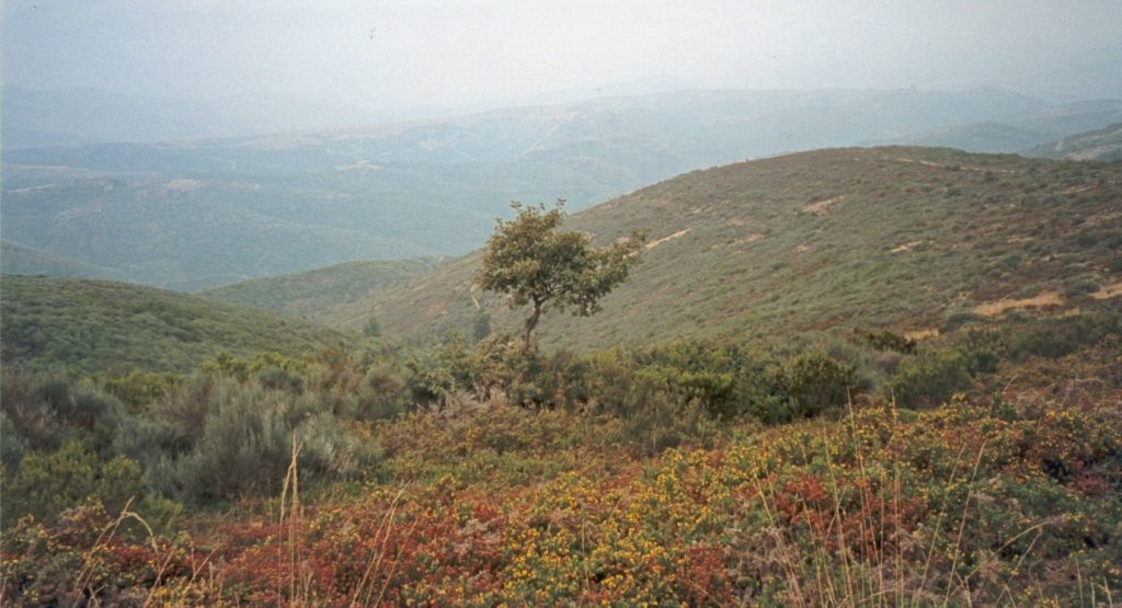 CAMINHO DE SANTIAGO