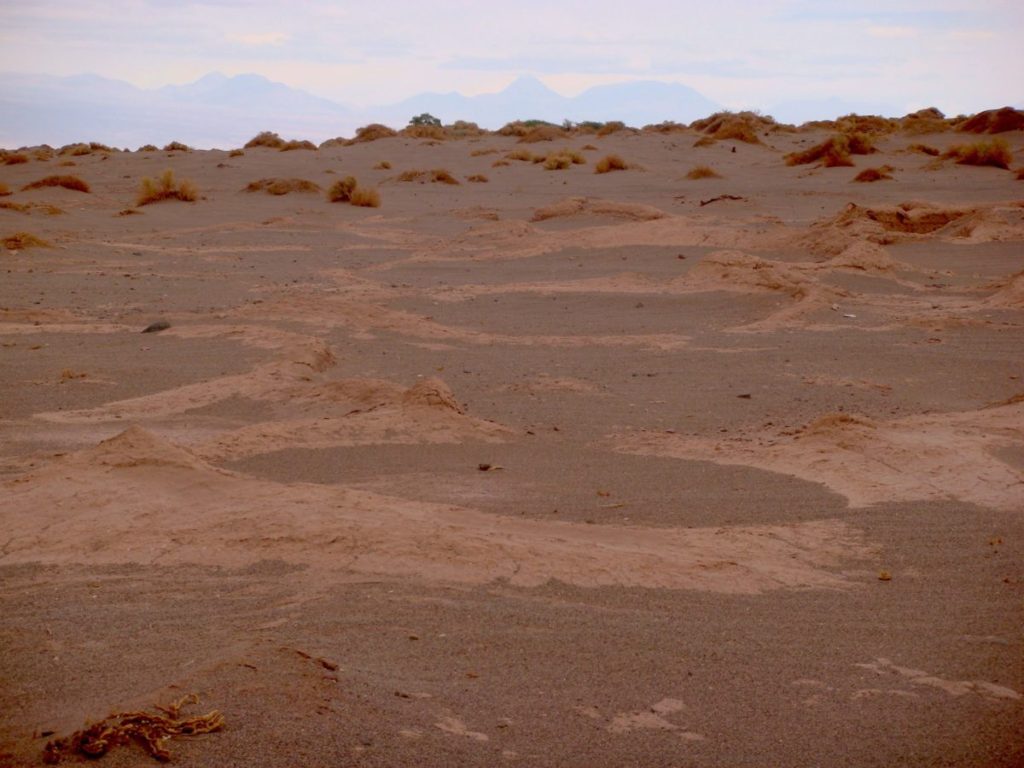 Tulor, Atacama