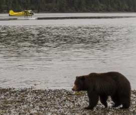 Alaska Cruise