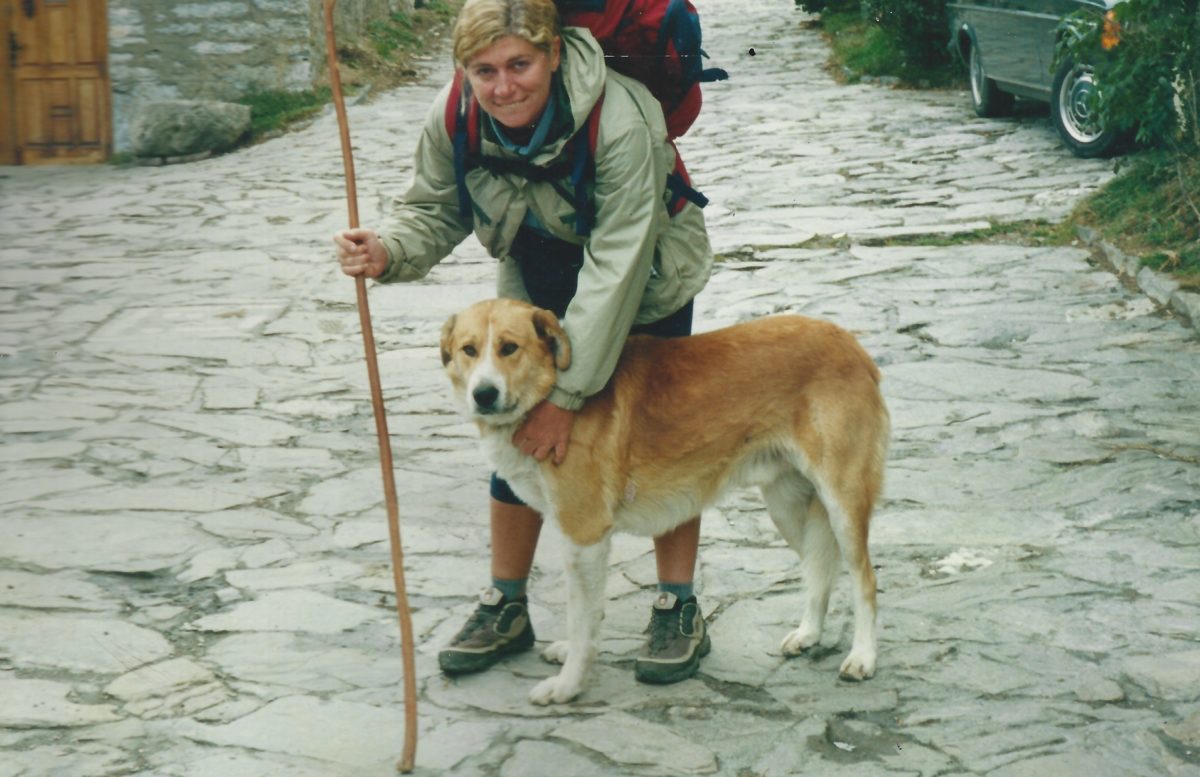 CAMINHO DE SANTIAGO