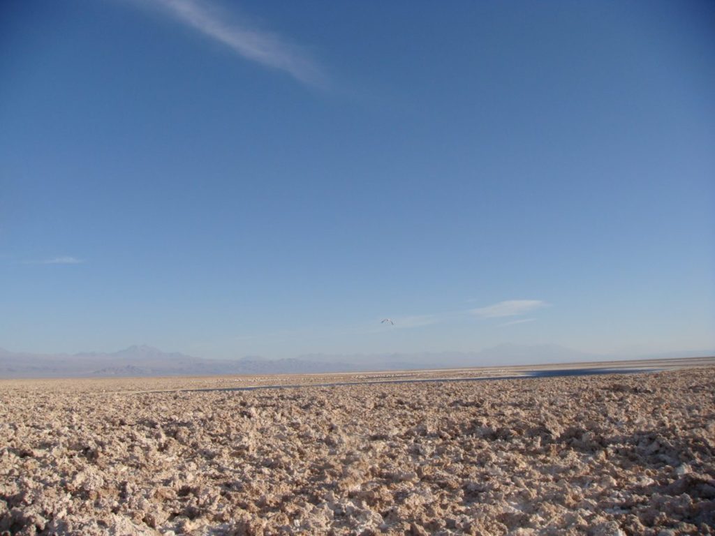 atacama, chile