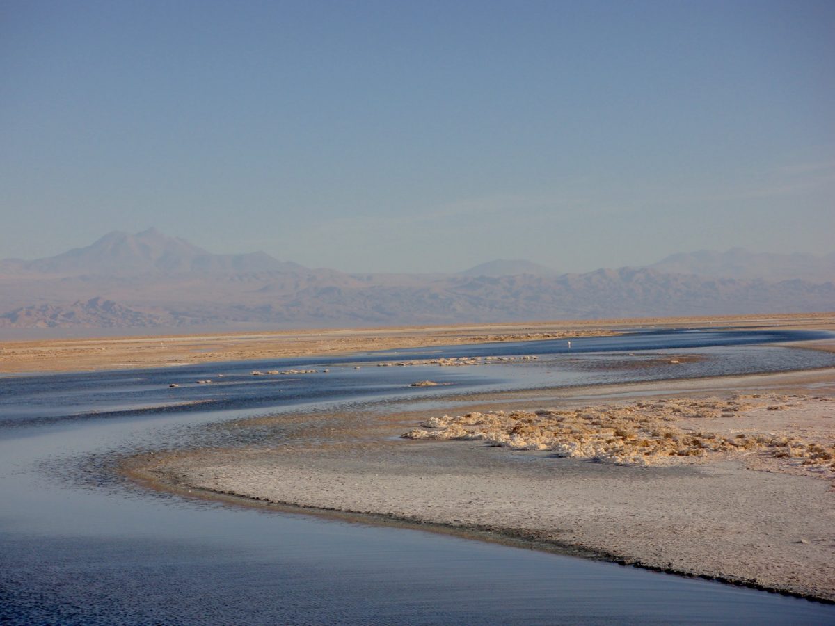 Salares e Lagoas Altiplanas, Deserto do Atacama