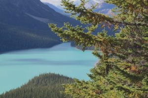 A Icefields Parkway a estrada mais bonita do mundo