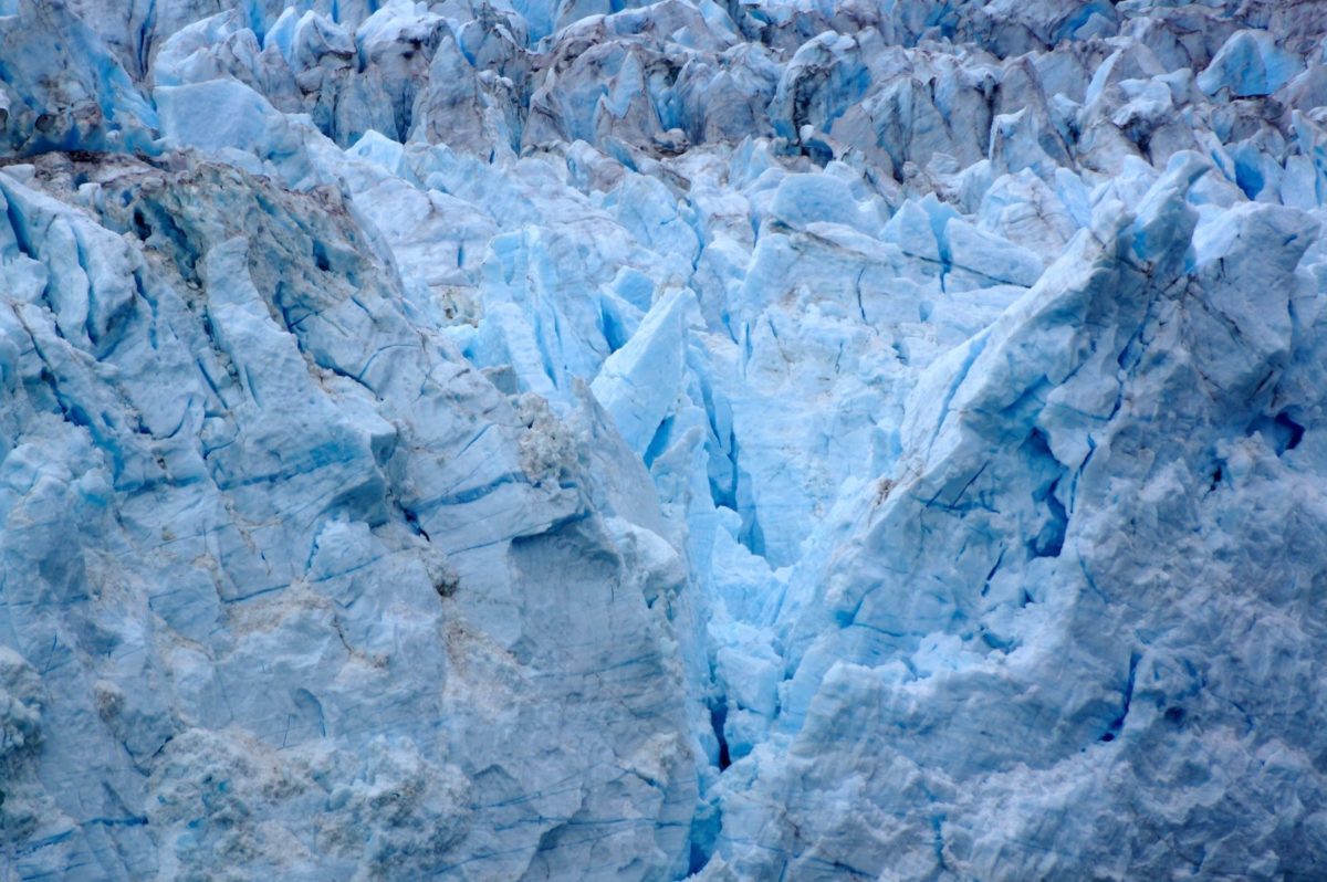 GLACIER BAY