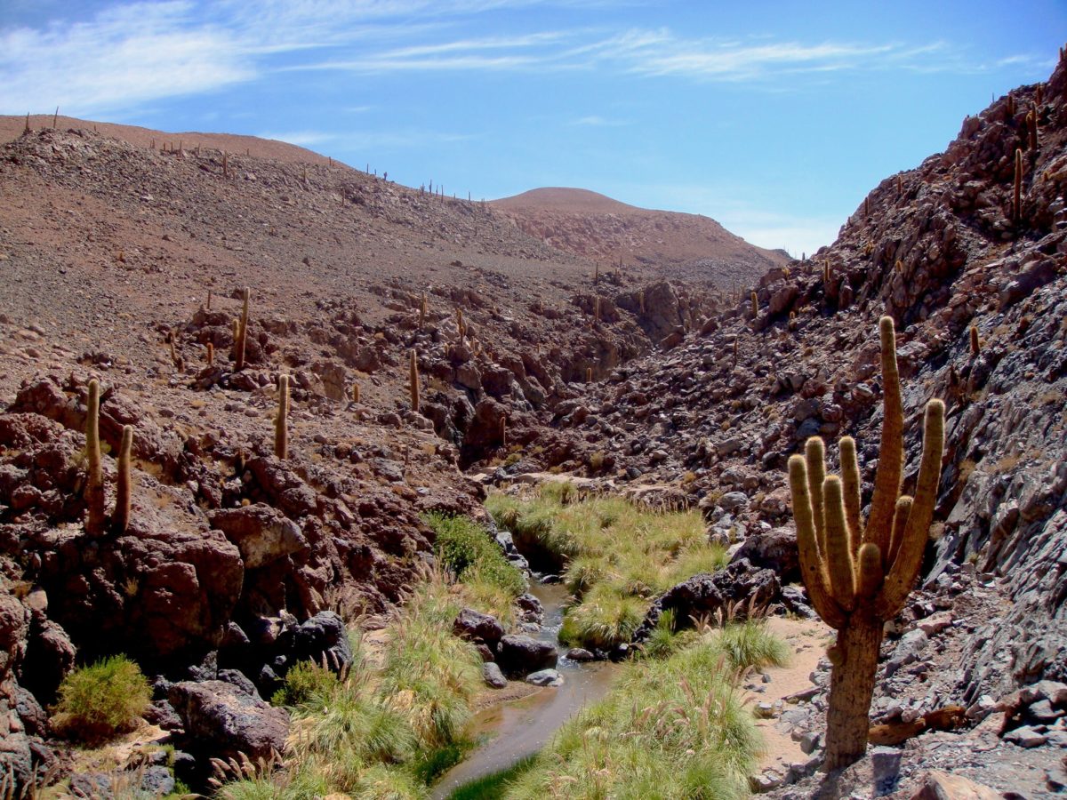 Atacama