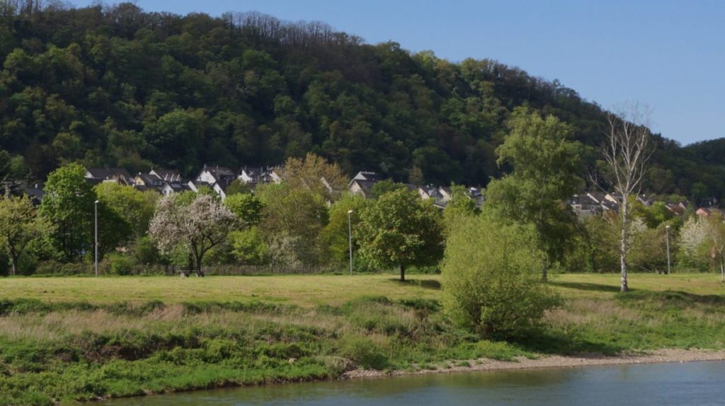 Cruzeiro nos Rios Moselle e Reno