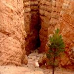 Bryce Canyon, Utah, USA