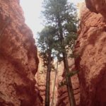 Bryce Canyon, Utah, USA