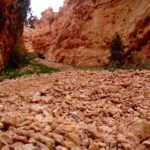 Bryce Canyon, Utah, USA