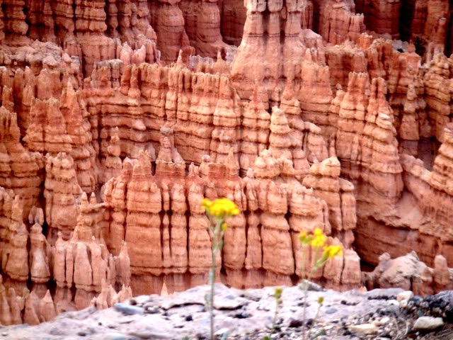 Bryce Canyon, Utah, USA