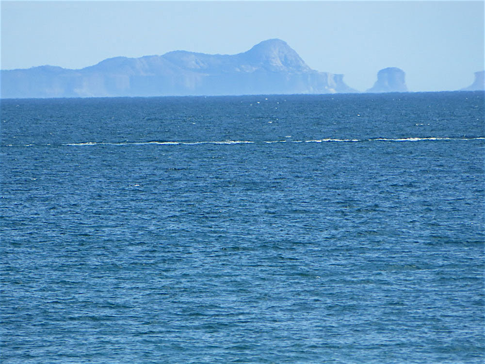 Arquipélago de Alcatrazes, litoral norte SP